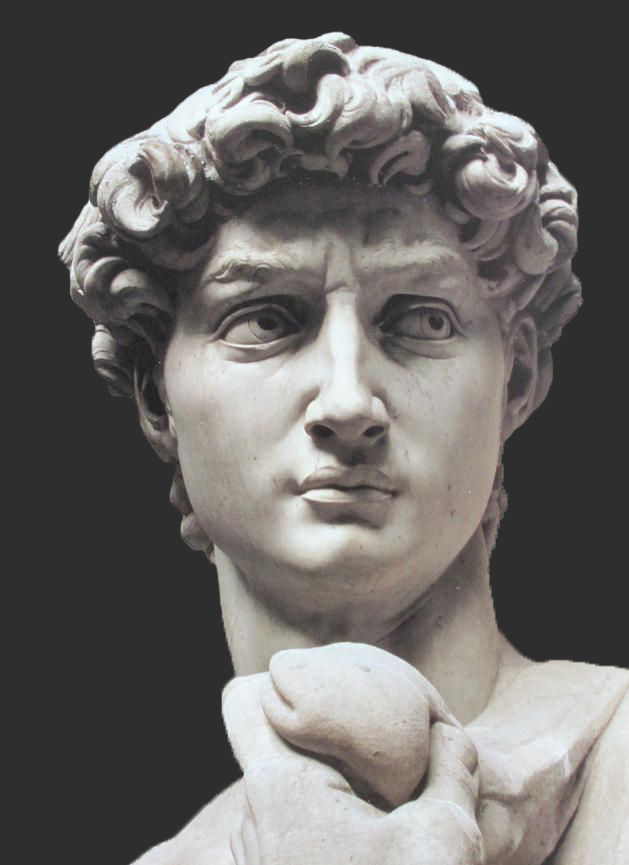 Art Class with Miss Voron 5th Grade Statue of David Value Study