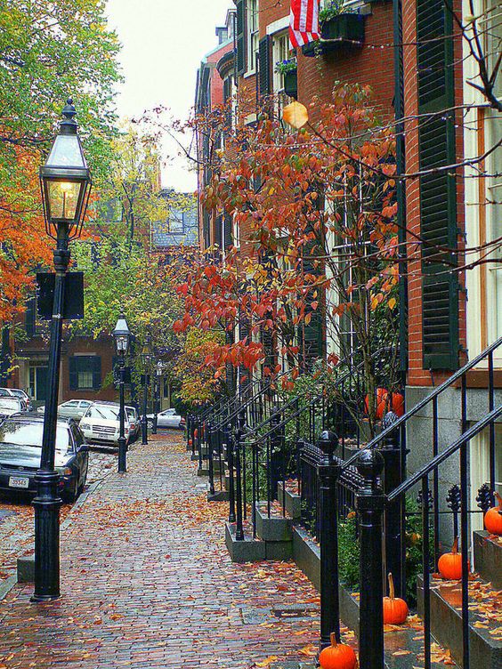 The Daily Catch North End, Boston, Massachusetts