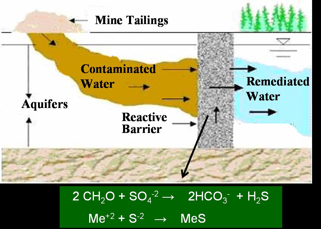 conservation ACID MINE DRAINAGE by Esther Moraa Onderi