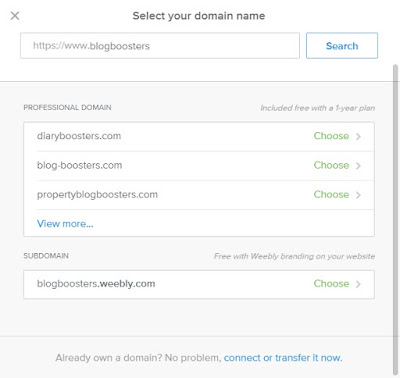 Choose Domain in Weebly