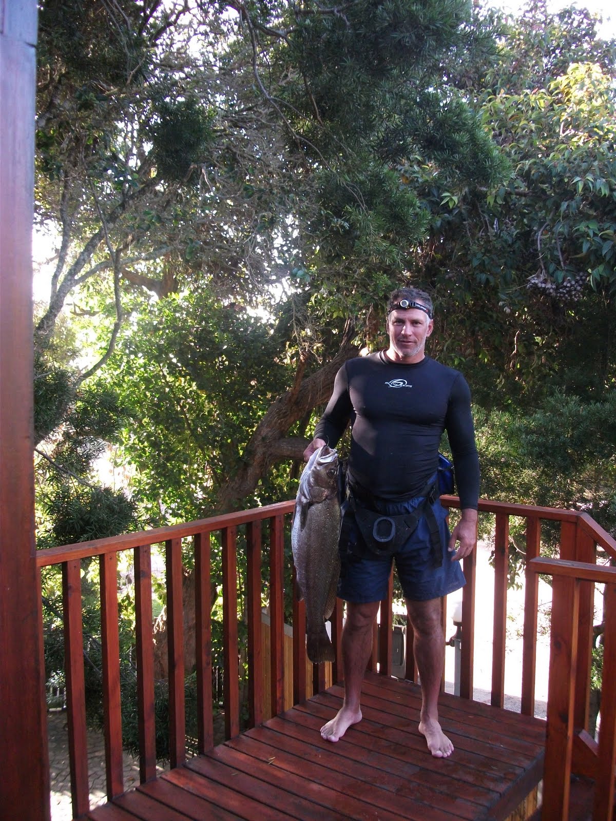 Angling Combination of chokka and sardine for kob bait