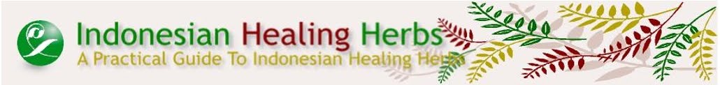 Indonesia Healing Herbs