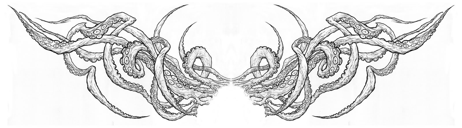 A Wolf Illustrations Blog: Octopus Tentacles