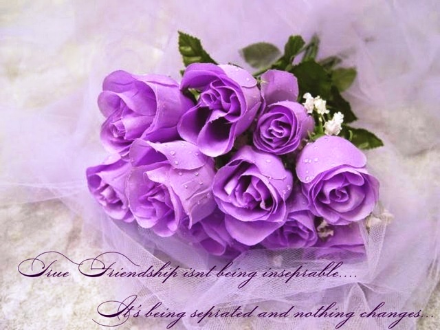 Pictures Of Flowers Quotes Pictures Of Flowers Quotes