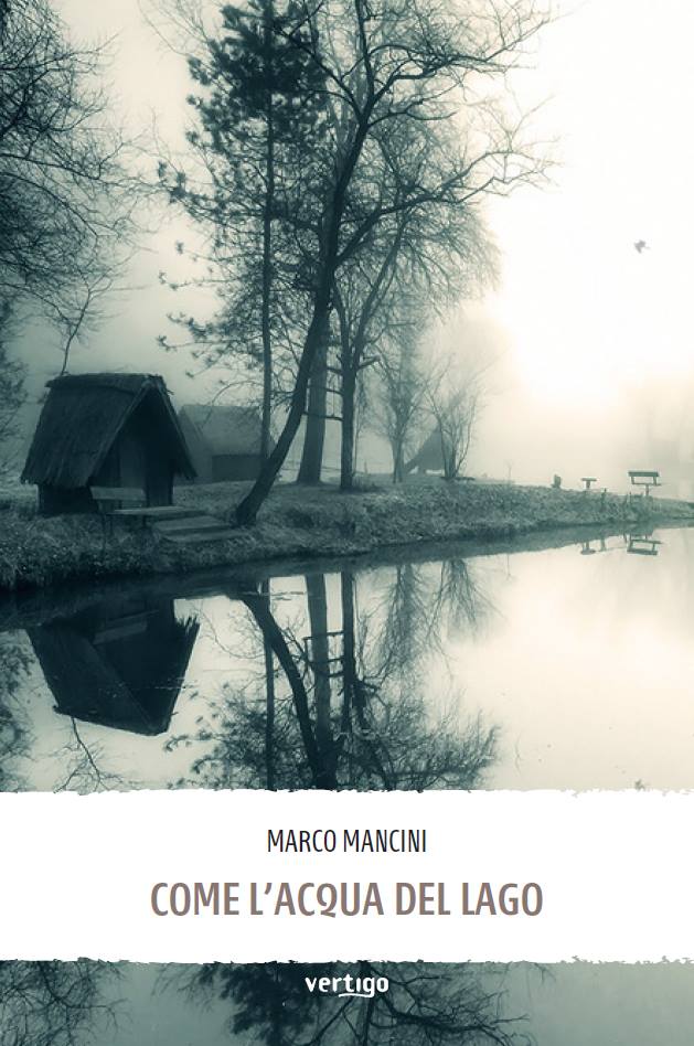 Marco Mancini Di cosa parla le