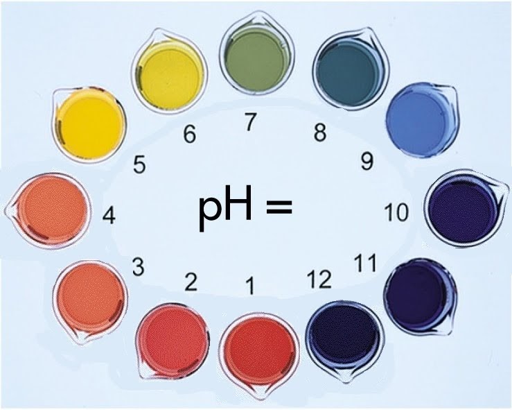 Team Thunder: Determinación del pH en una muestra de Suelo.