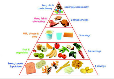 Piramida makanan