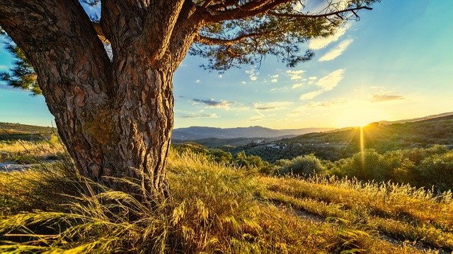 موسوعة تفسير الاحلام تابع حرف الشين