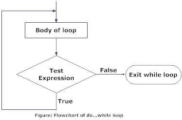 What is do-while Loop | Learn Programming