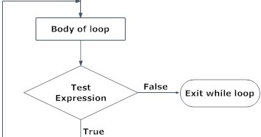 What is do-while Loop | Learn Programming