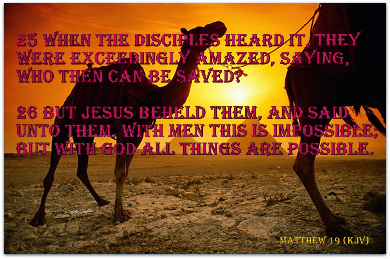 red-pill-diaries-matthew-19-kjv