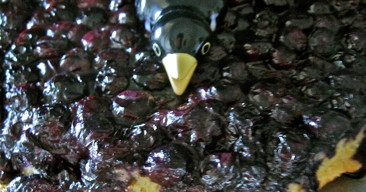 Spooning the Dish The Blueberry Crow's Nest when the crust flies south