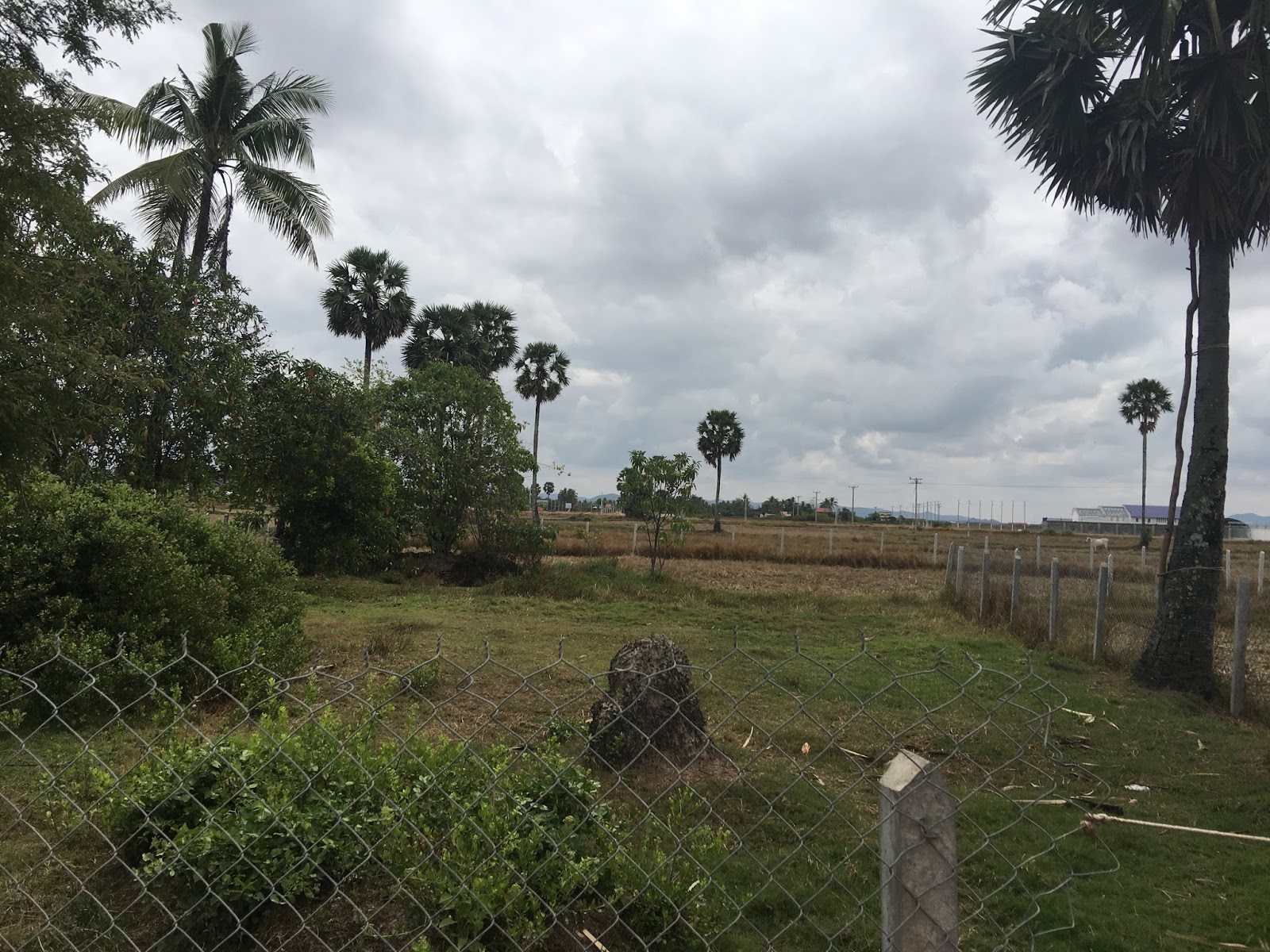 Good spot of residential land for sale in Kampot Town, Kampot province ...