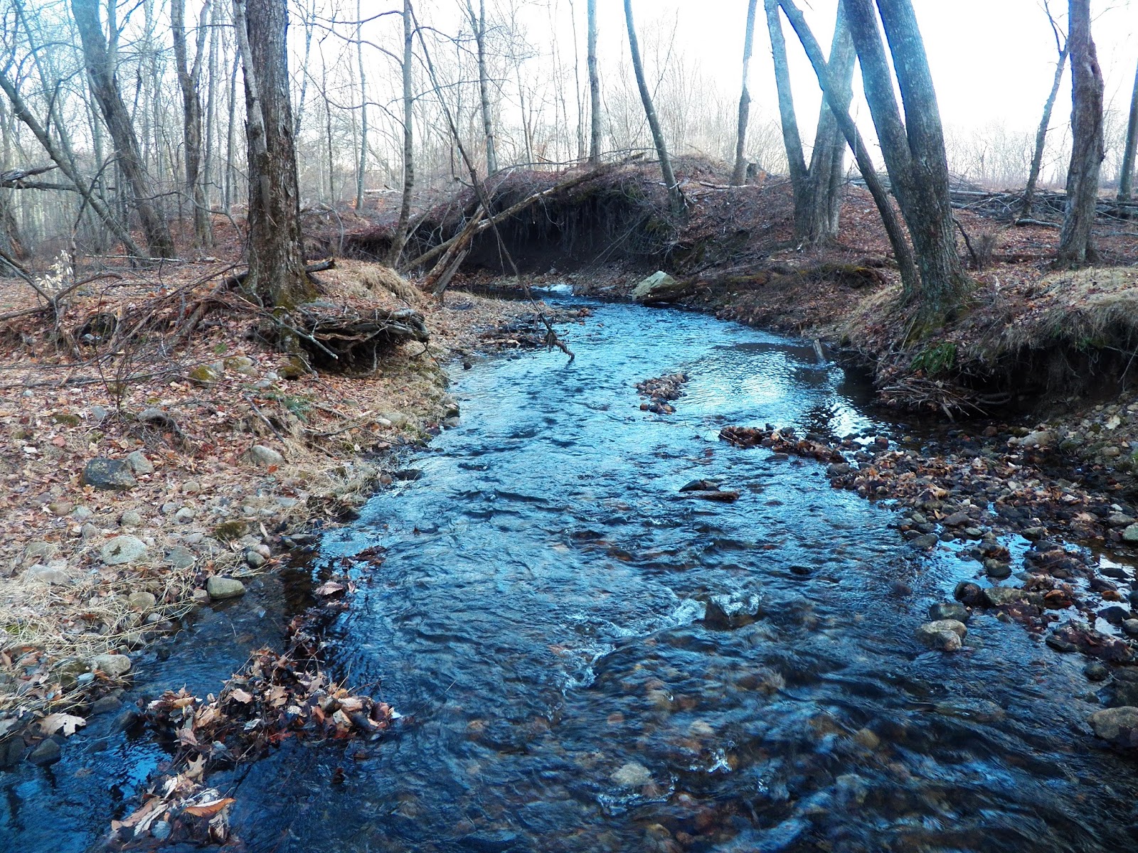 Connecticut Fly Angler Another Amazing New Brook Trout Stream
