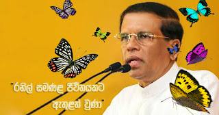 "Ranil entered a butterfly life!" -- Mathri "Ranil entered a butterfly life!" -- Mathri