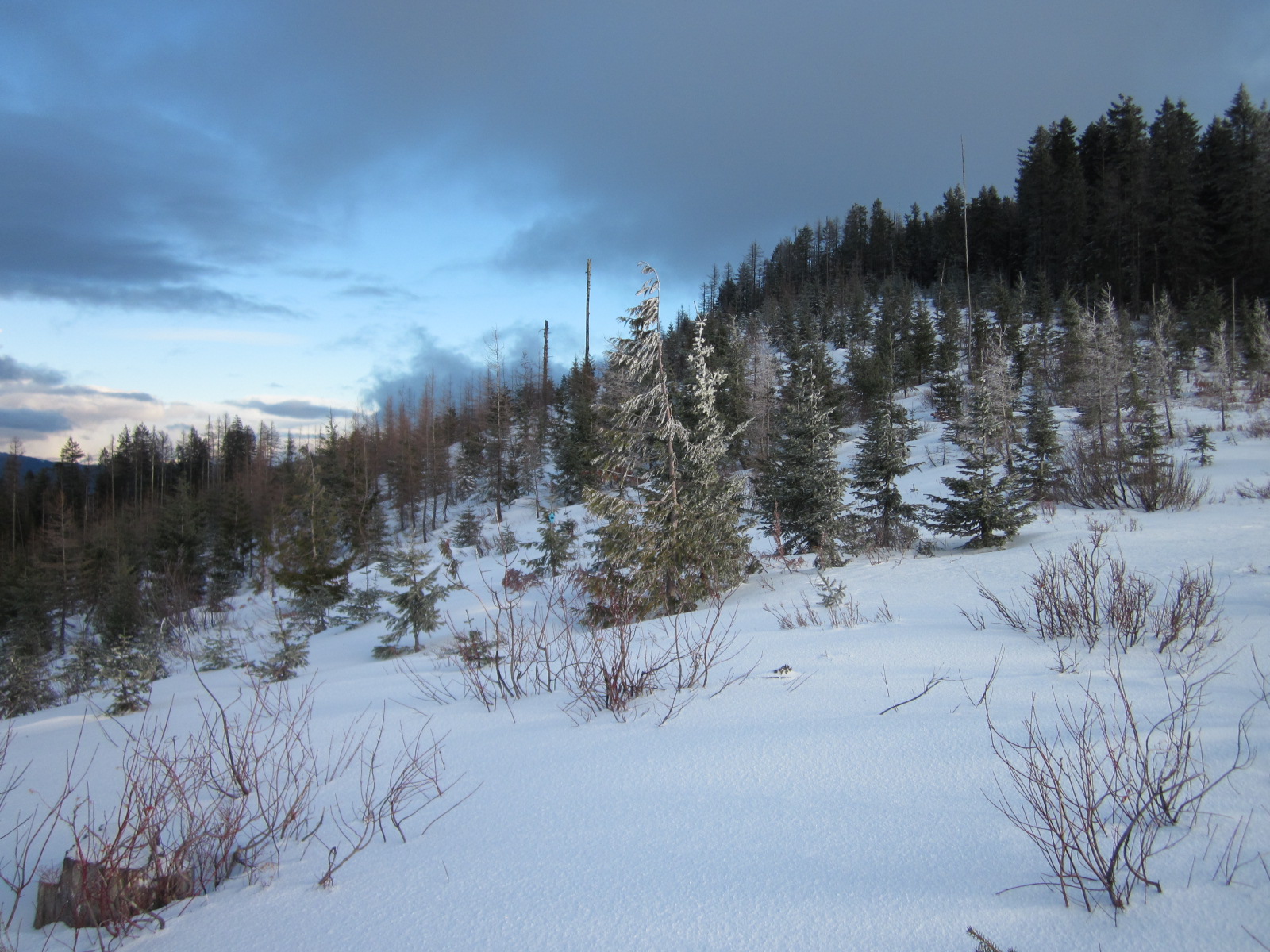 Palouse Backcountry Palouse Divide and East Dennis Conditions