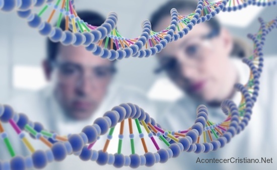 La genética y la homosexualidad 
