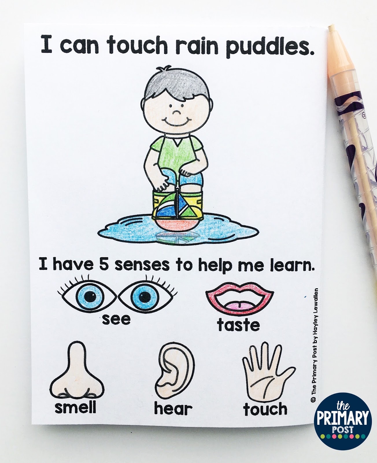 Spring 5 Senses Mini Book FREEBIE - The Primary Post