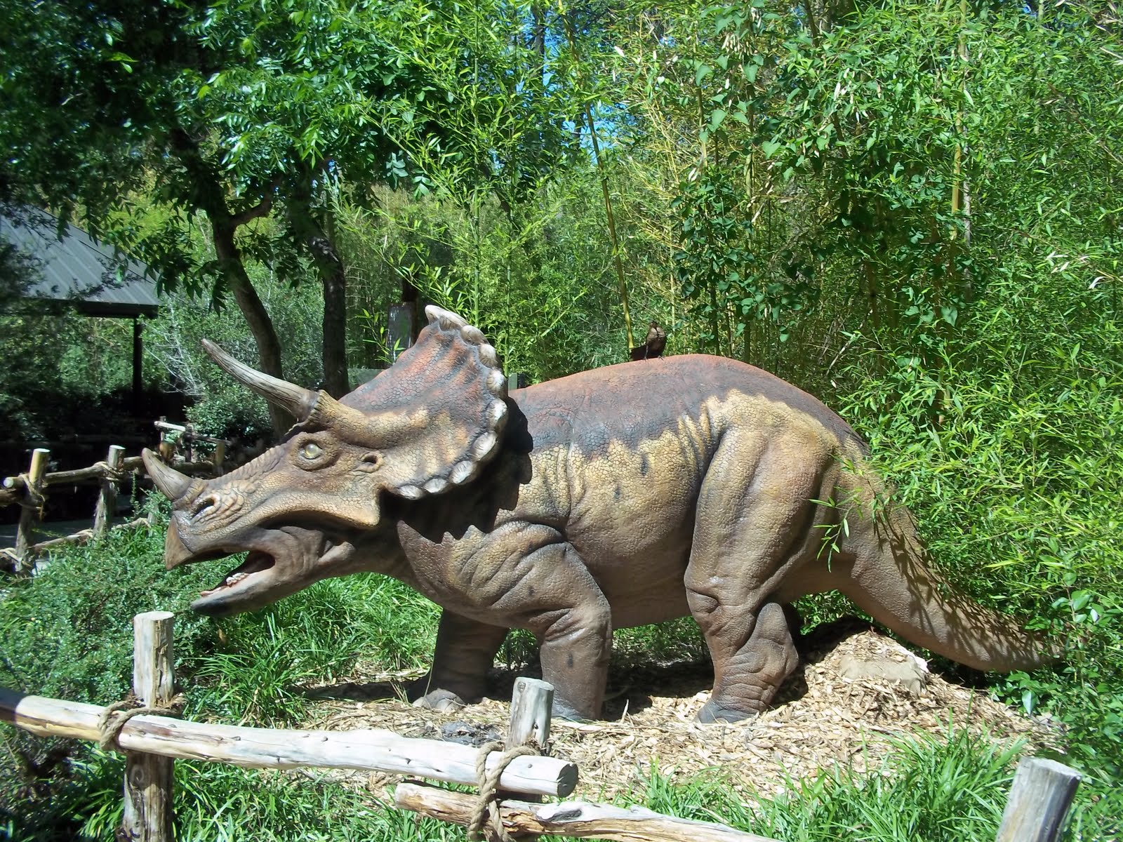 Burning Daylight Dinosaurs Unleashed at the Fort Worth Zoo