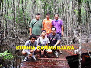 mangrove wisata karimunjawa