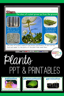 Plants Unit on TPT