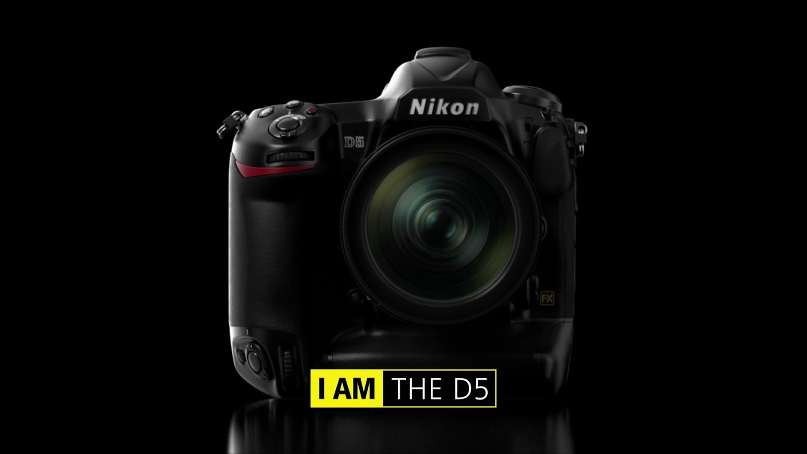 Michael Daniel Ho - The Wildlife Ho-tographer: Nikon D5 Camera - 'Hands