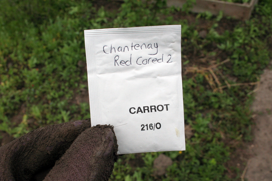 The Victory Garden Walthamstow June Carrots Chantenay