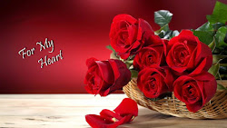 roses heart sweet fresh nice romantic