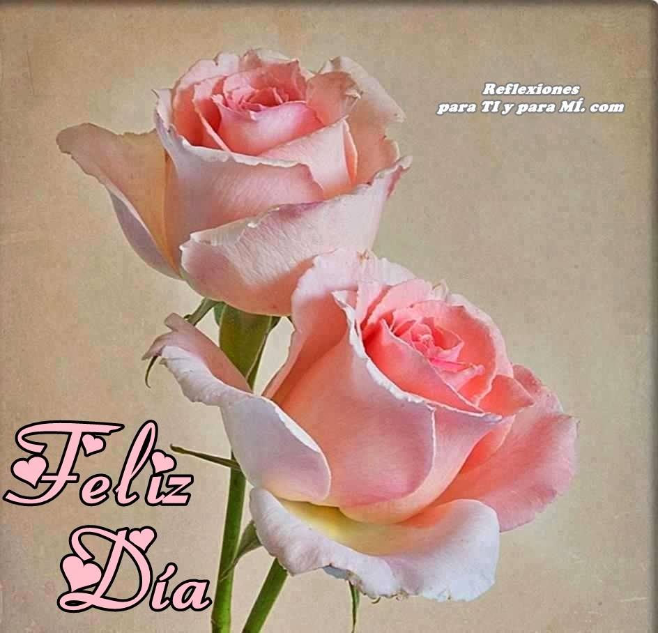 Buenos Deseos para TI y para MÍ: * FELIZ DÍA (Par de rosas color rosa  pastel)