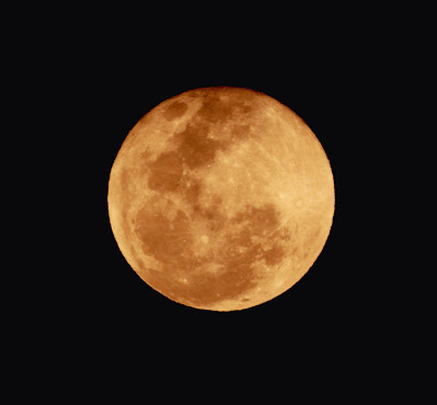 "Super Full Moon on the 21 January 2019.snapped by me."