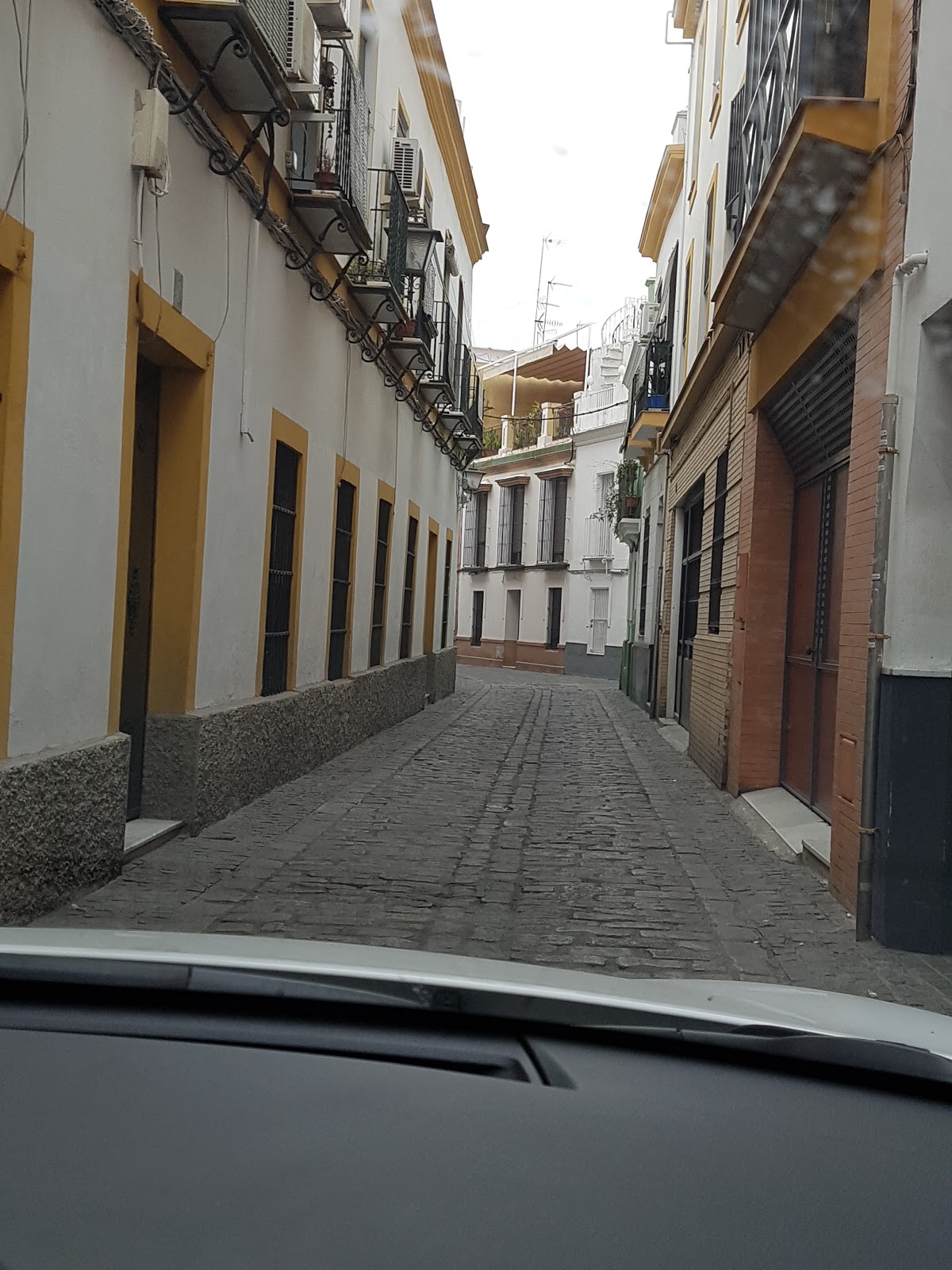 Roadtrip Andalusië Dag 5 El Bosque Sevilla