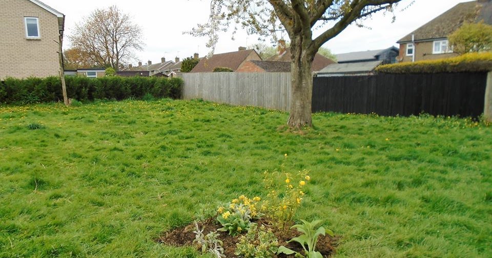 Martin Brookes Oakham Oakham Town Council New Wild Flower Garden Royce