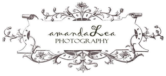 amandaLea photography