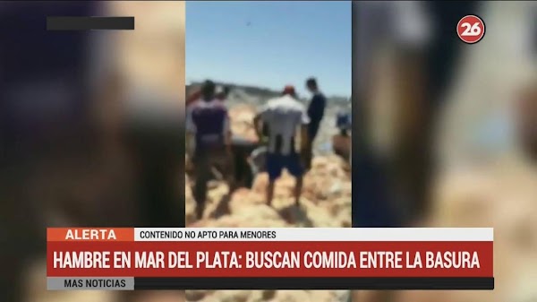 Mar del Plata: la gente busca pollos en mal estado tirados por supermercado Mar del Plata: la gente busca pollos en mal estado tirados por supermercado