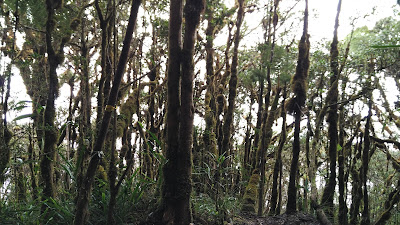 Pendakian Gunung Latimojong Sulawesi Selatan Pendakian Gunung Latimojong Sulawesi Selatan
