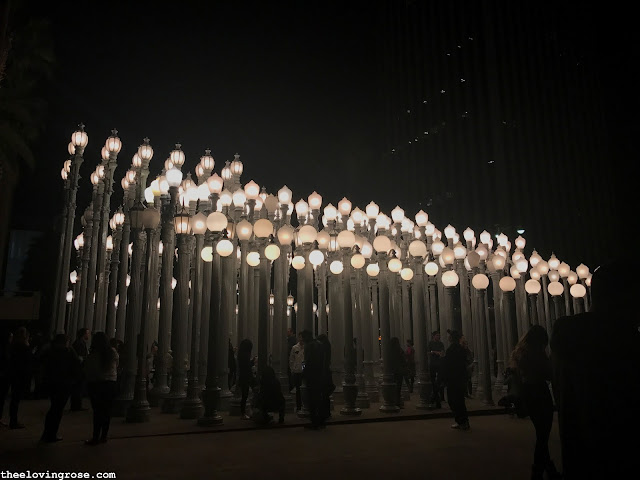 Lacma lights Lacma lights at night