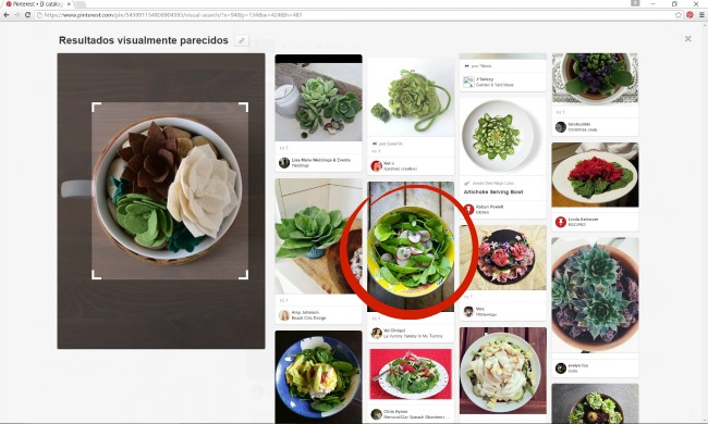 La herramienta de búsquedas visuales de Pinterest permite encontrar ideas y pines relacionados utilizando imágenes para buscar. En bizcochosysancochos.com