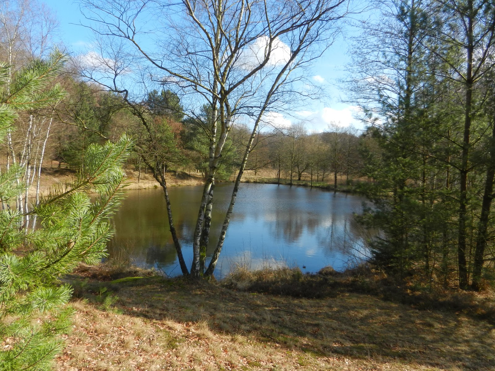 Der Wanderfreund Wandern auf dem HeidePanorama Weg bei Amelinghausen