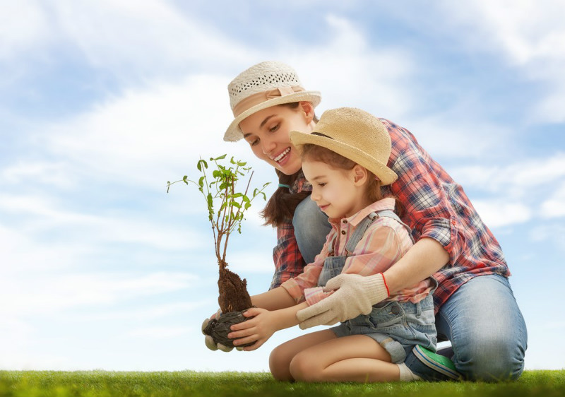 5 Easy Gardening Projects for Kids