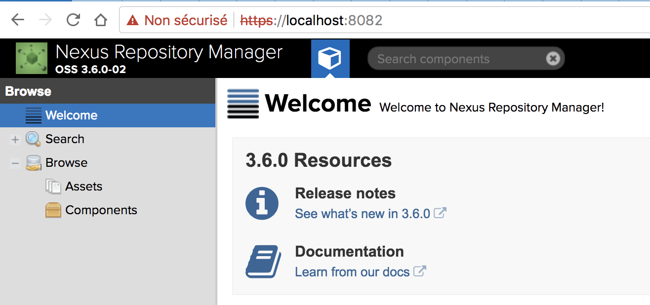 Using a Dockerized Nexus as a Docker Registry