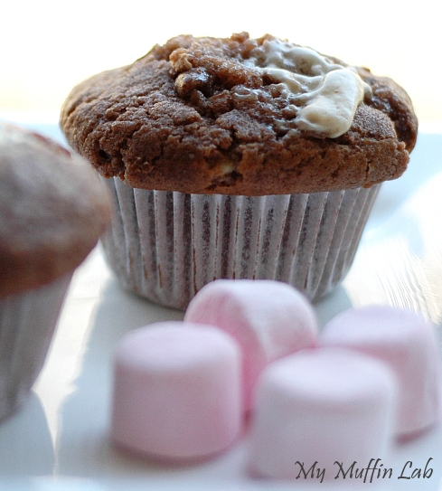 My Muffin Lab: Chocolate Marshmallow Muffins