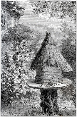 http://thegraphicsfairy.com/early-beehive-image-lovely/