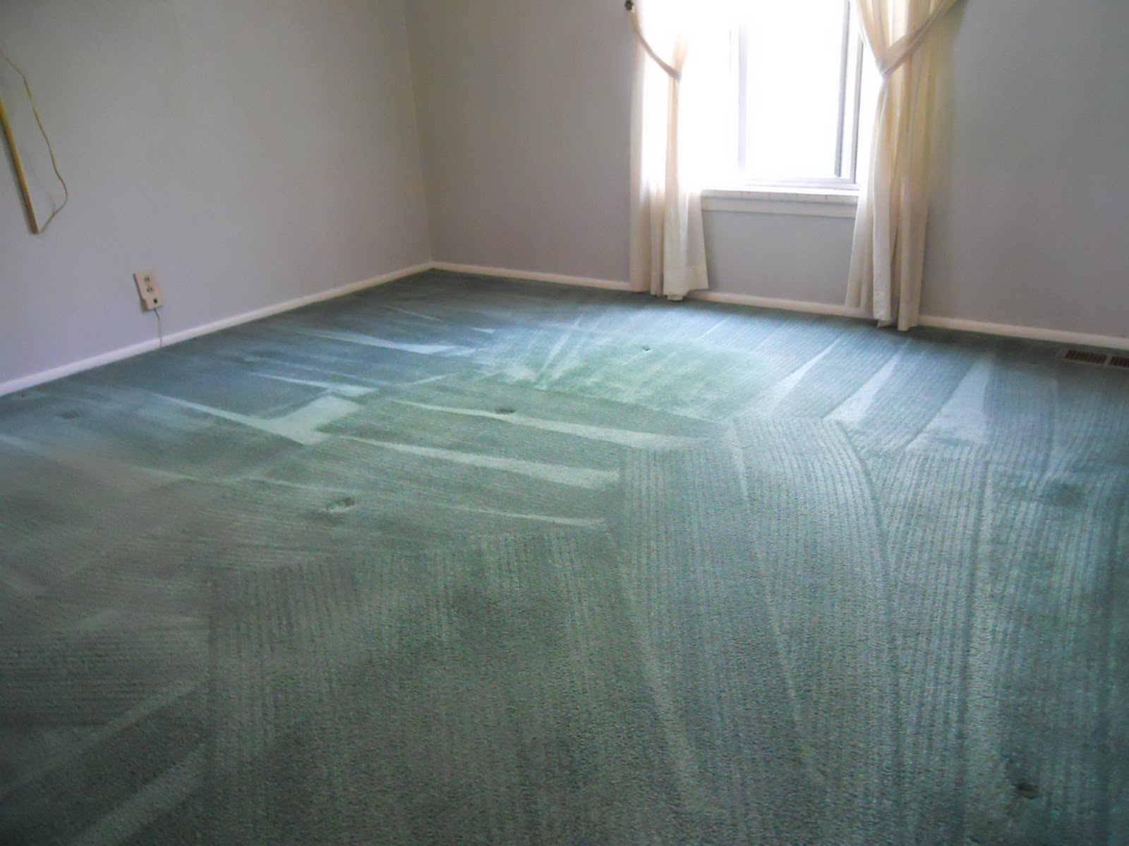 Alpine Professional Carpet Care CARPET CLEANING IN SALT LAKE CITY UTAH