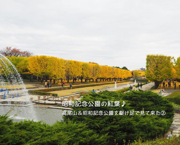 昭和記念公園の紅葉！