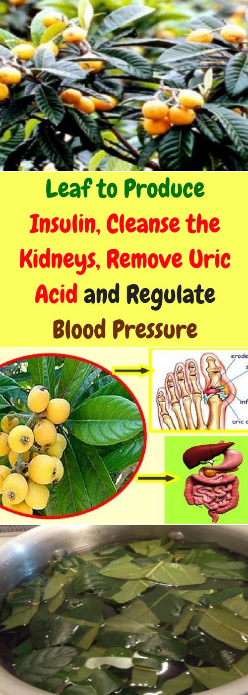 Leaf to Produce Insulin, Cleanse the Kidneys, Remove Uric Acid and