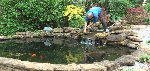How to Clean a Natural Pond How to Clean a Natural Pond