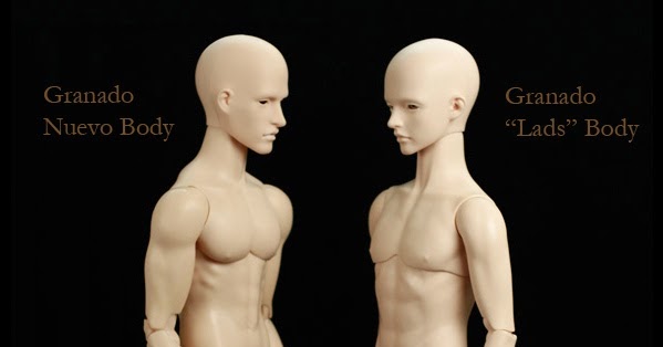 Male body 1/3  Argonautica Dolls