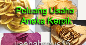 Usaha Peluang Bisnis Peluang Usaha Jualan Aneka Keripik