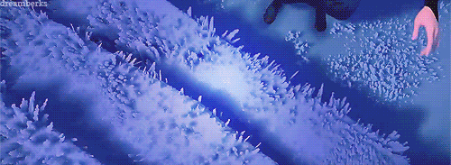 대구에 온 여름왕국 엘사 상황.....gif1