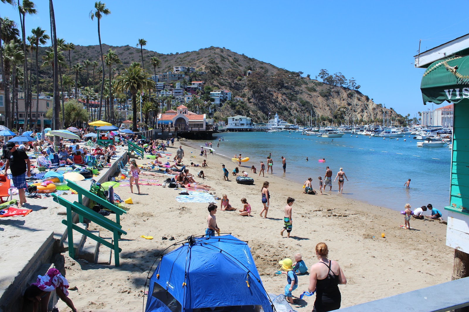 Catalina island flyer catalina island summer 2012